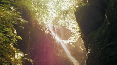 Mountain spring water source waterfall fauna flora Stock-Footage 25004732