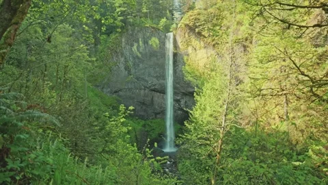 Mountain Spring Waterfall Surrounded by Lush Trees – Scenic Nature View Stock Footage 315098543