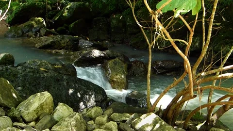 Mountain Spring Waters Flowing Thru Rocks _(clip-097) Stock Footage 140555094