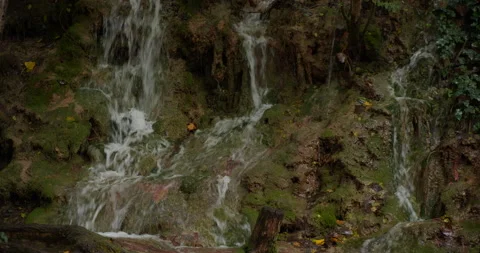 Mountain Springs 스톡 동영상 216689650