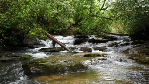 Mountain Steam 03 Stock Footage 130468950