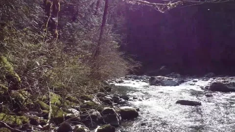 Mountain steam Vídeos de archivo 133745797