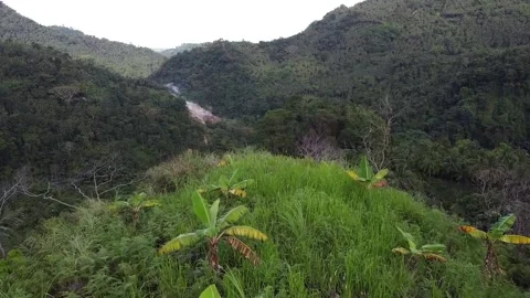 Mountain with steaming sulfur ground Stock Footage 185281464