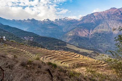 Mountain step farming fields at remote village at morning from top angle Foto stock