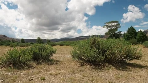 Mountain Steppes Of The Altai. Stock Footage 97371003