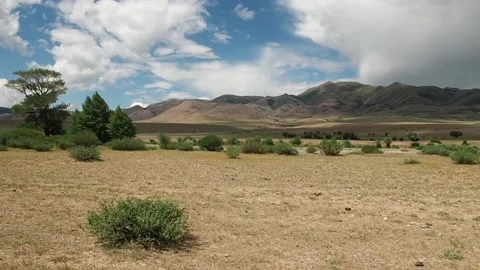 Mountain steppes of the Altai. Stock Footage 97371014