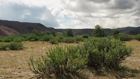 Mountain steppes of the Altai. Stock Footage 97371111