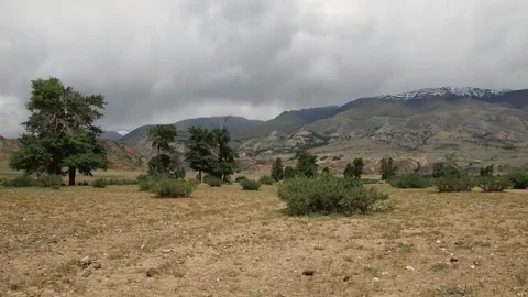 Mountain steppes of the Altai. Stock Footage 97371282