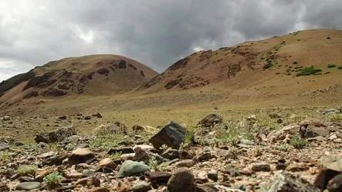 Mountain steppes of the Altai. Stock Footage 97371710