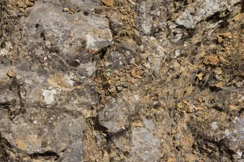Mountain stone with moss in the background Stock Photos