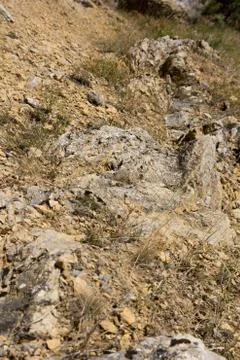 Mountain stone with moss in the background Foto stock