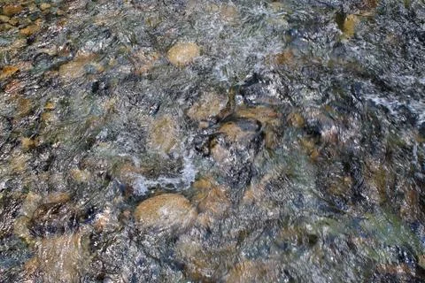 The mountain stone river in the forest. Stock Photos