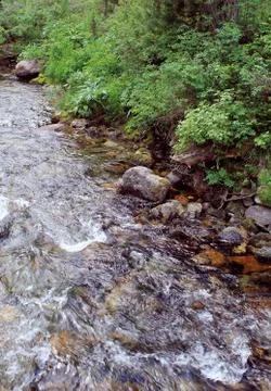 The mountain stone river in the forest. Stock Photos