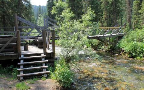 The mountain stone river in the forest. Stock Photos
