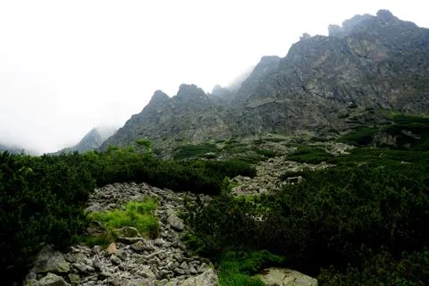 Mountain stone trail through forest in High Tatras Stock Photos