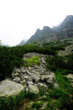 Mountain stone trail through forest in High Tatras Stock Photos