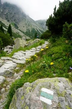 Mountain stone trail through forest in High Tatras Stock Photos