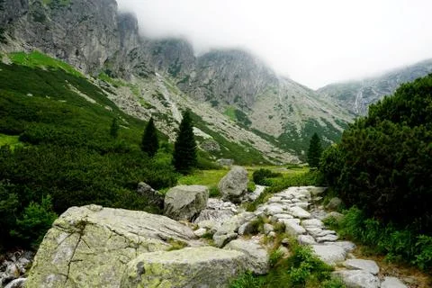 Mountain stone trail through forest in High Tatras Stock Photos