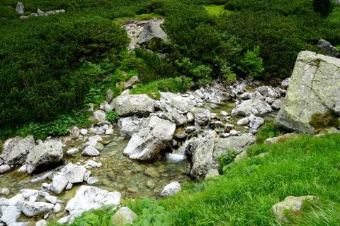 Mountain stone trail through forest in High Tatras Stock Photos