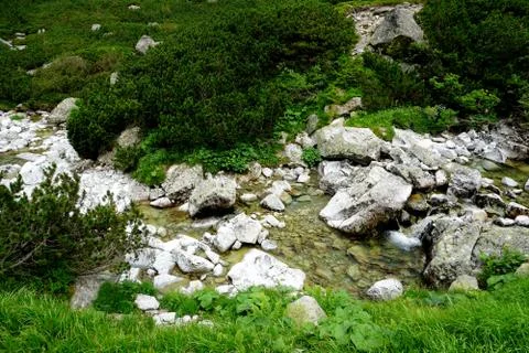 Mountain stone trail through forest in High Tatras Stock Photos