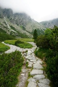 Mountain stone trail through forest in High Tatras Stock Photos