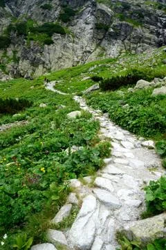 Mountain stone trail through forest in High Tatras Stock Photos