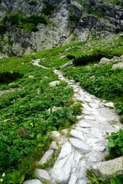 Mountain stone trail through forest in High Tatras Stock Photos