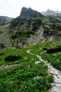 Mountain stone trail through forest in High Tatras Stock Photos
