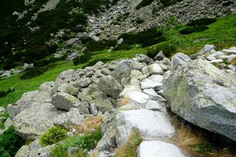 Mountain stone trail through forest in High Tatras Stock Photos