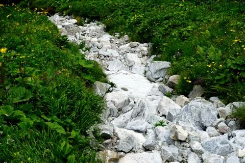 Mountain stone trail through forest in High Tatras Stock Photos