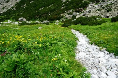 Mountain stone trail through forest in High Tatras Stock Photos