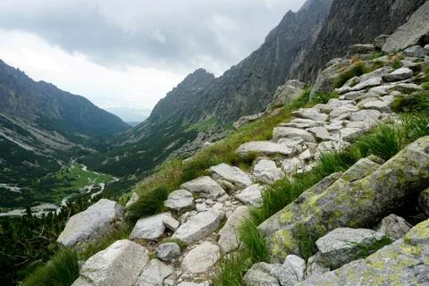 Mountain stone trail through forest in High Tatras Stock Photos