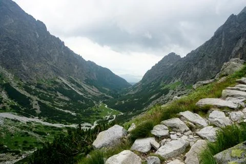Mountain stone trail through forest in High Tatras Stock Photos