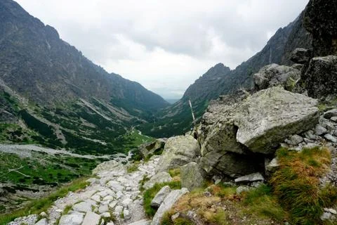 Mountain stone trail through forest in High Tatras Stock Photos