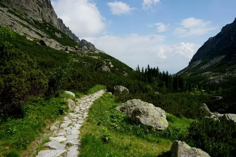 Mountain stone trail through forest in High Tatras Stock Photos