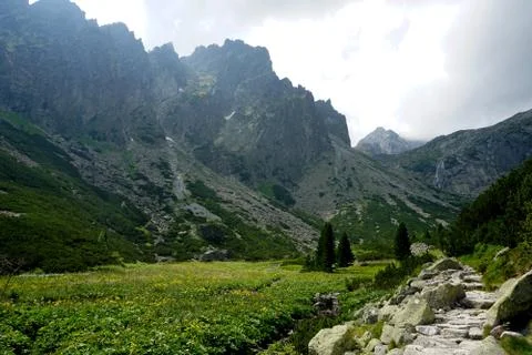 Mountain stone trail through forest in High Tatras Stock Photos