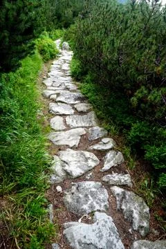 Mountain stone trail through forest in High Tatras Stock Photos