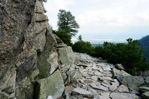 Mountain stone trail through forest in High Tatras Stock Photos