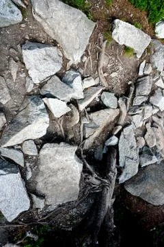 Mountain stone trail through forest in High Tatras Stock Photos