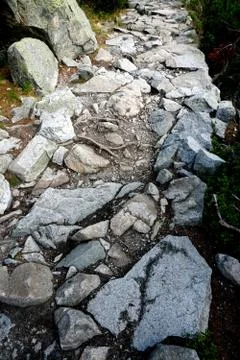 Mountain stone trail through forest in High Tatras Stock Photos