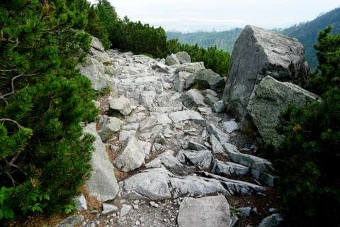 Mountain stone trail through forest in High Tatras Stock Photos