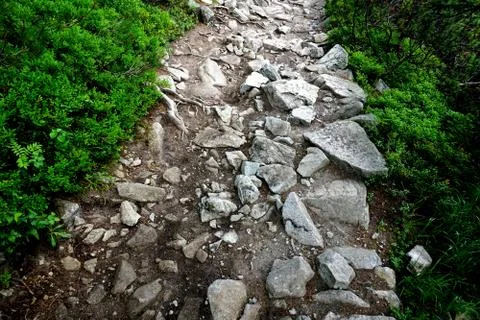 Mountain stone trail through forest in High Tatras Stock Photos