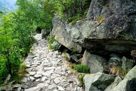 Mountain stone trail through forest in High Tatras Stock Photos