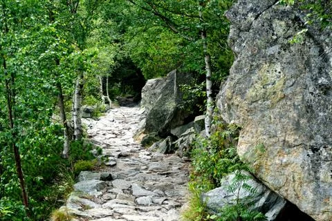 Mountain stone trail through forest in High Tatras Stock Photos