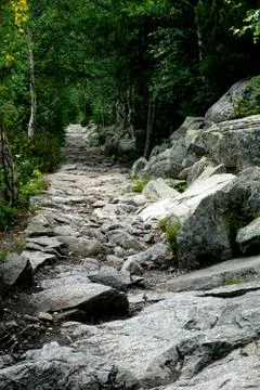Mountain stone trail through forest in High Tatras Stock Photos