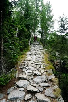 Mountain stone trail through forest in High Tatras Stock Photos