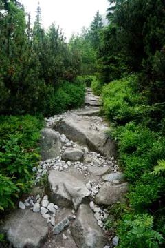 Mountain stone trail through forest in High Tatras Stock Photos