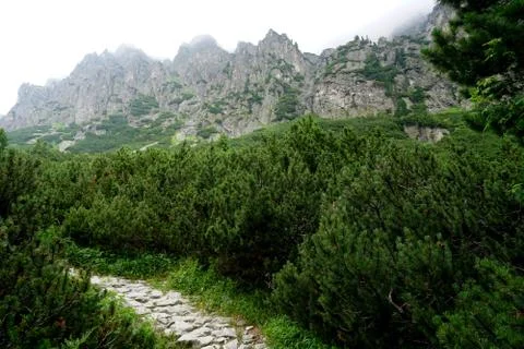 Mountain stone trail through forest in High Tatras Stock Photos