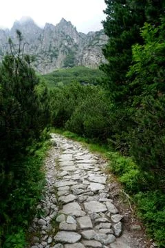 Mountain stone trail through forest in High Tatras Stock Photos