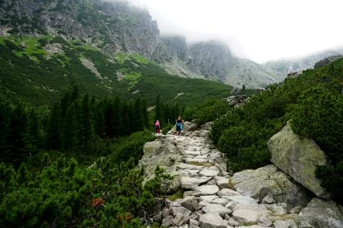 Mountain stone trail through forest in High Tatras Stock Photos